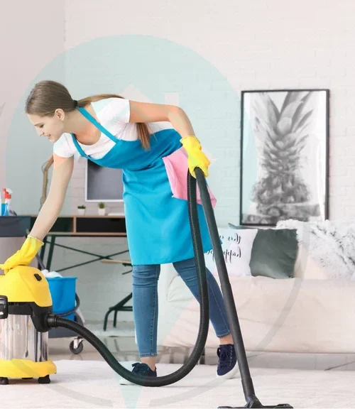 Professional Maid Services in Allen, Tx